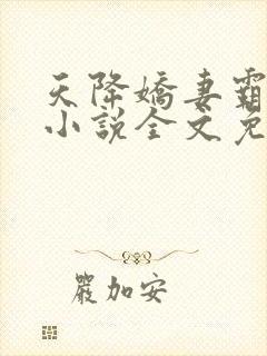 天降娇妻霸道宠小说全文免费阅读