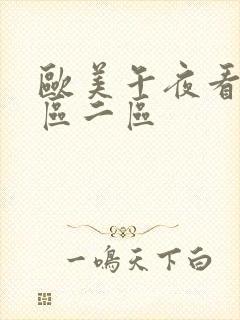 欧美午夜看片一区二区