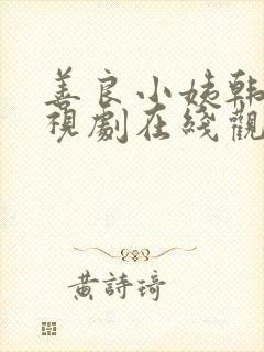 善良小姨韩国电视剧在线观看