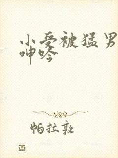 小受被猛男狂c呻吟