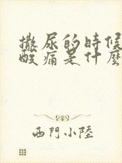 撒尿的时候尿道酸痛是什么原因