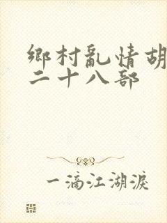 乡村乱情胡秀英二十八部封面