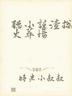 听小说渣总追妻火葬场