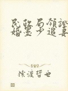 民政局领证,闪婚墨少追妻忙全文版