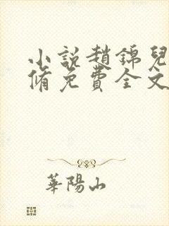 小说赵锦儿秦慕修免费全文阅读