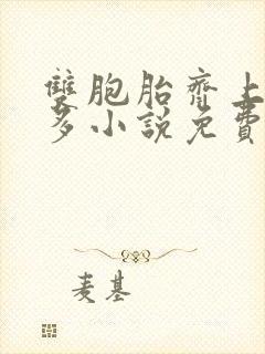 双胞胎齐上阵许多小说免费阅读