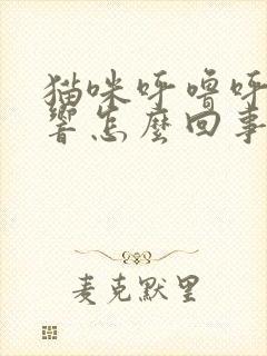 猫咪呼噜呼噜的响怎么回事