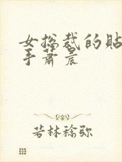 女总裁的贴身高手萧晨