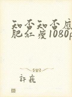 知否知否应是绿肥红瘦1080p全集免费观看封面