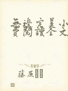 无边完美小说免费阅读全文最新章节封面