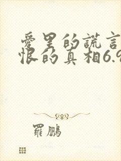 爱里的谎言,仇恨的真相6.9封面