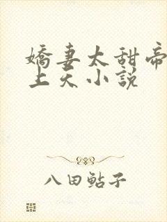 娇妻太甜帝少宠上天小说封面