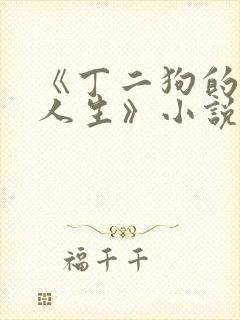 《丁二狗的逍遥人生》小说