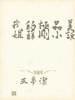 我的极品美女姐姐薛刚小说