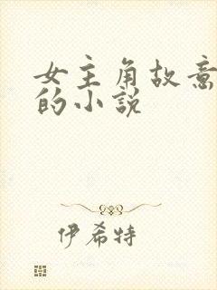 女主角故意扮丑的小说