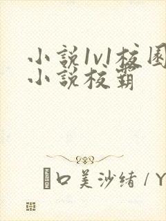 小说1v1校园小说校霸