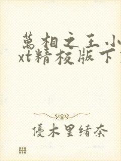 万相之王小说txt精校版下载