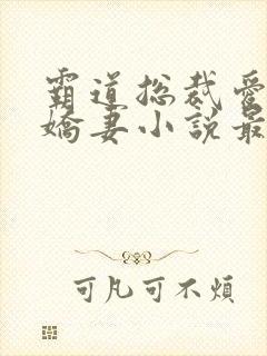 霸道总裁爱上小娇妻小说最新章节封面