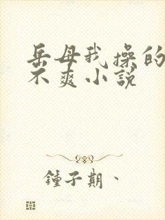 岳母我操的你爽不爽小说