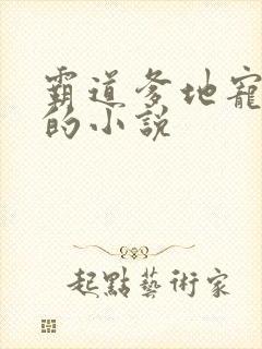 霸道爹地宠又撩的小说