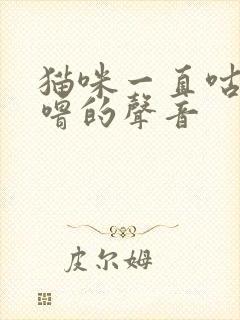 猫咪一直咕噜咕噜的声音