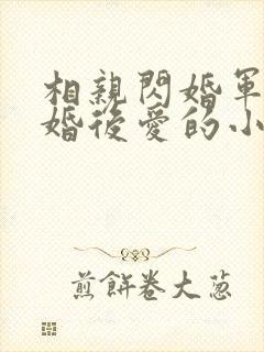 相亲闪婚军婚先婚后爱的小说