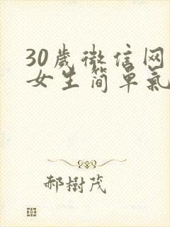 30岁微信网名女生简单气质