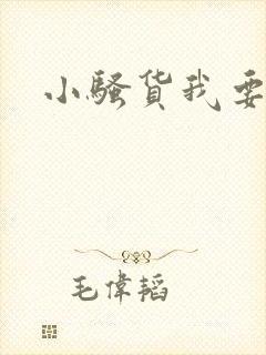 小骚货我要插你