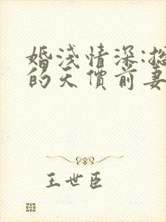 婚浅情深:总裁的天价前妻