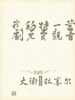 我的特一营电视剧免费观看