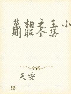 万相之王小说未删版全集封面