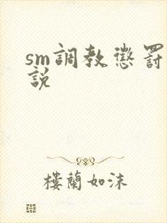 sm调教惩罚小说