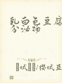 乳白色豆腐渣样分泌物