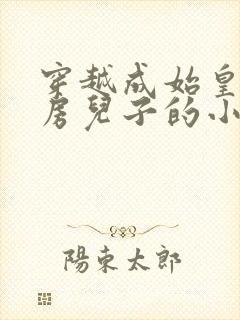 穿越成始皇与阿房儿子的小说