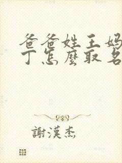 爸爸姓王妈妈姓丁怎么取名