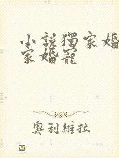 小说独家婚宠独家婚宠