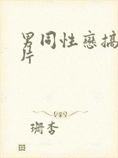 男同性恋搞基毛片