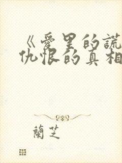 《爱里的谎言,仇恨的真相》封面