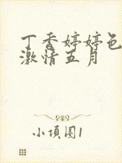 丁香婷婷色综合激情五月