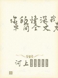 你的情深我不配 卓简全文免费阅读