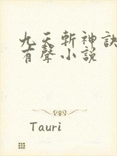 九天斩神诀林辰有声小说