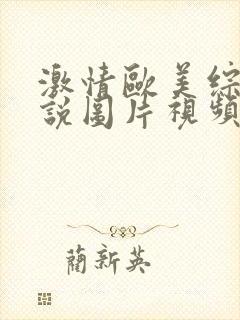 激情欧美综合小说图片视频