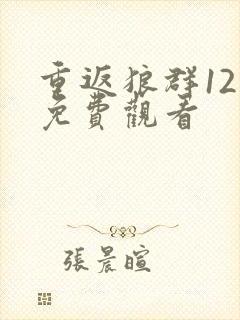 重返狼群12集免费观看封面