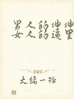 男人的坤坤插进女人的逼里封面