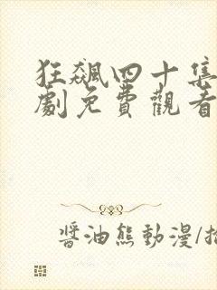 狂飙四十集连续剧免费观看