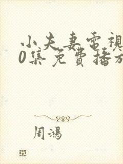 小夫妻电视剧40集免费播放