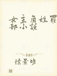 女主角姓罗的全部小说封面