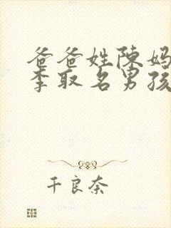 爸爸姓陈妈妈姓李取名男孩