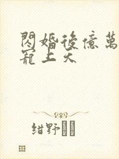 闪婚后亿万总裁宠上天封面