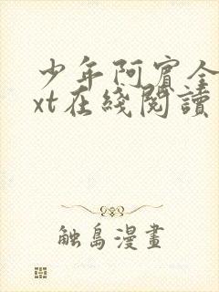 少年阿宾全集txt在线阅读